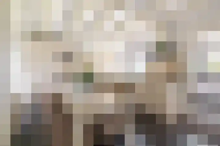 Middelie 118 Middelie thumbnail 17