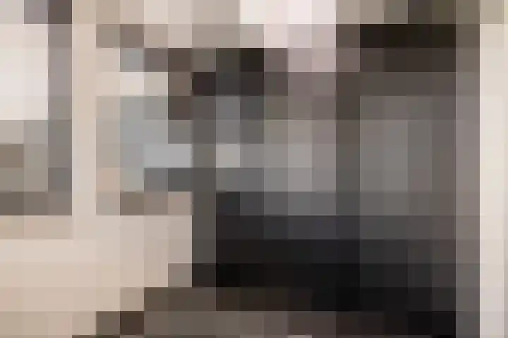 Middelie 118 Middelie thumbnail 23