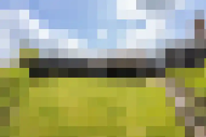 Middelie 118 Middelie thumbnail 39
