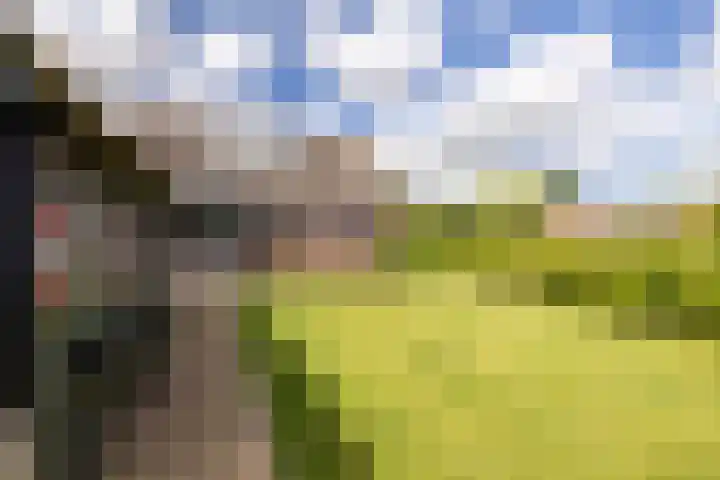 Middelie 118 Middelie thumbnail 40