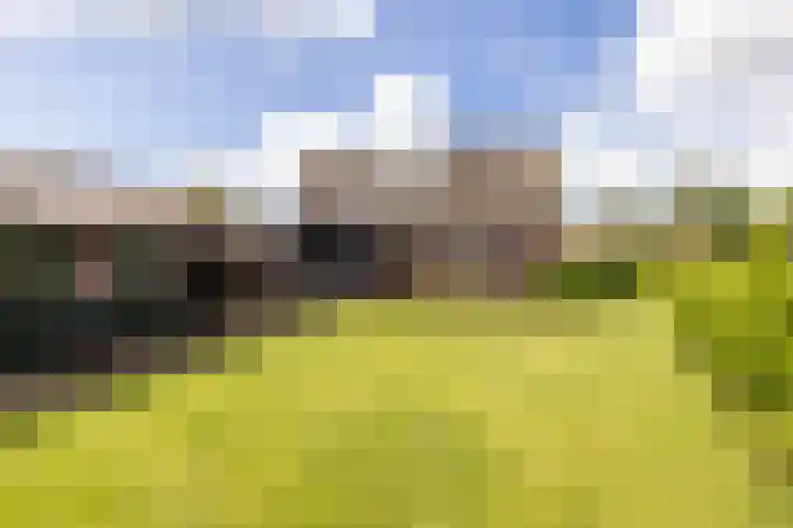 Middelie 118 Middelie thumbnail 41