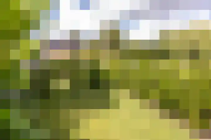 Middelie 118 Middelie thumbnail 45