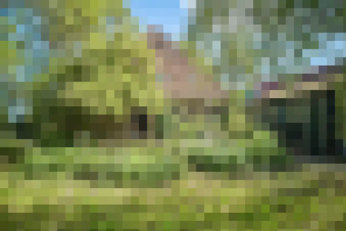 Middelie 33 Middelie thumbnail 49