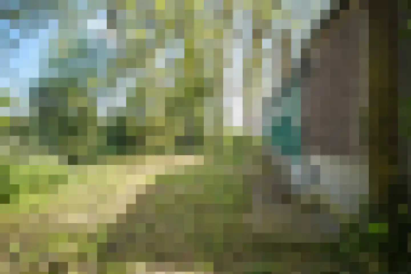 Middelie 33 Middelie thumbnail 51