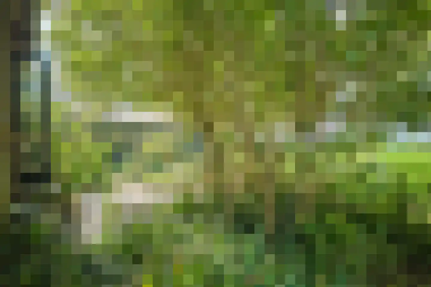 Middelie 33 Middelie thumbnail 53