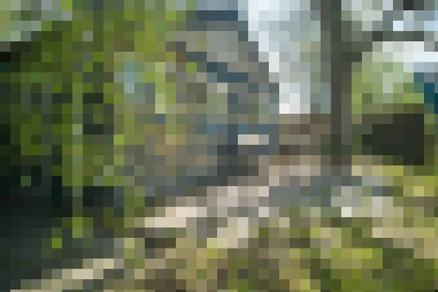 Middelie 33 Middelie thumbnail 54