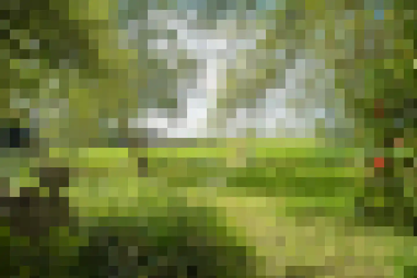 Middelie 33 Middelie thumbnail 56