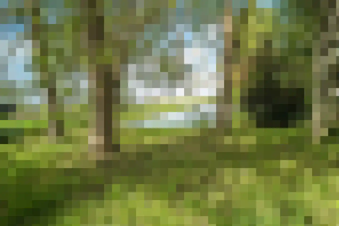 Middelie 33 Middelie thumbnail 57