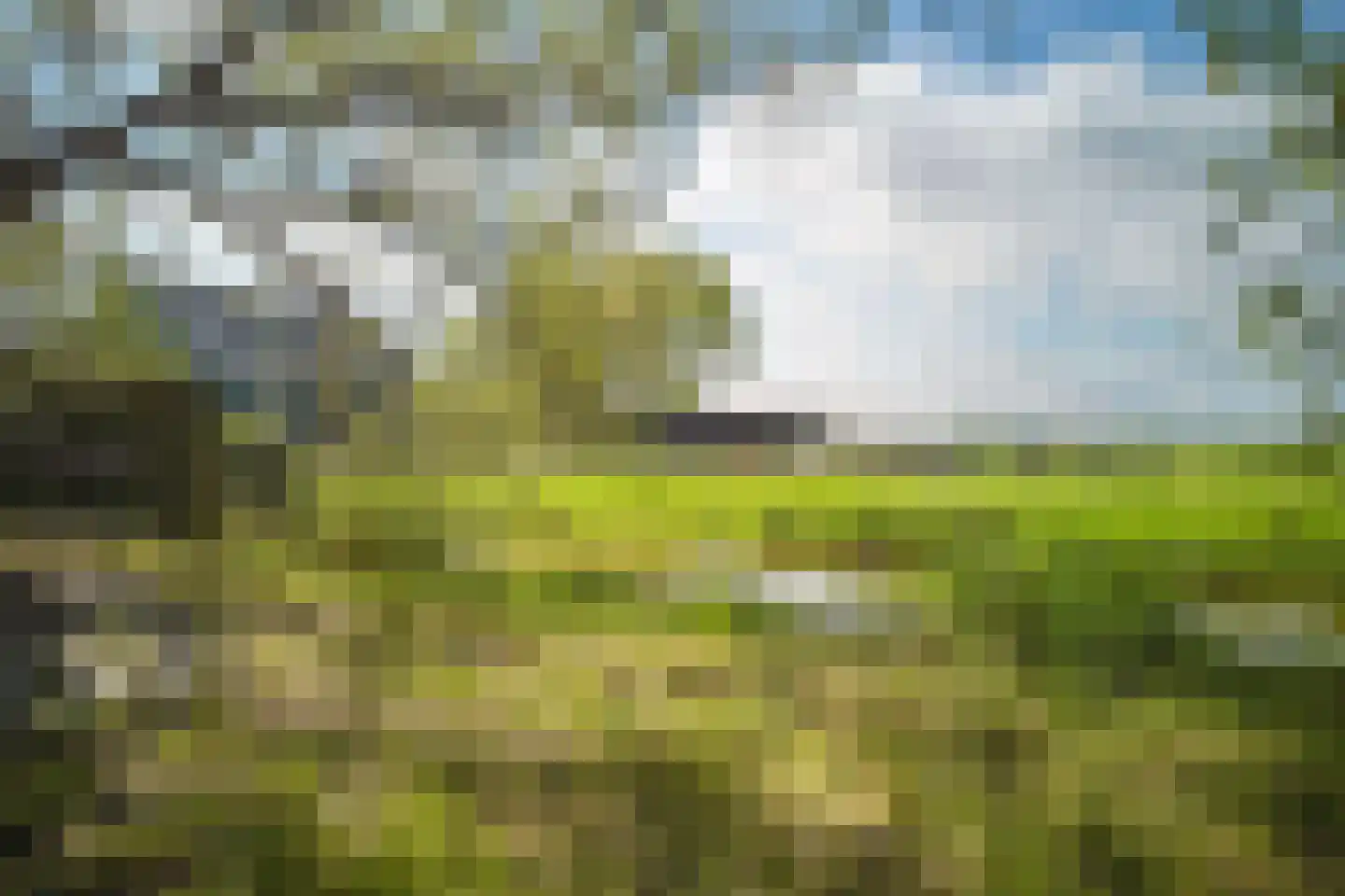 Middelie 33 Middelie thumbnail 58