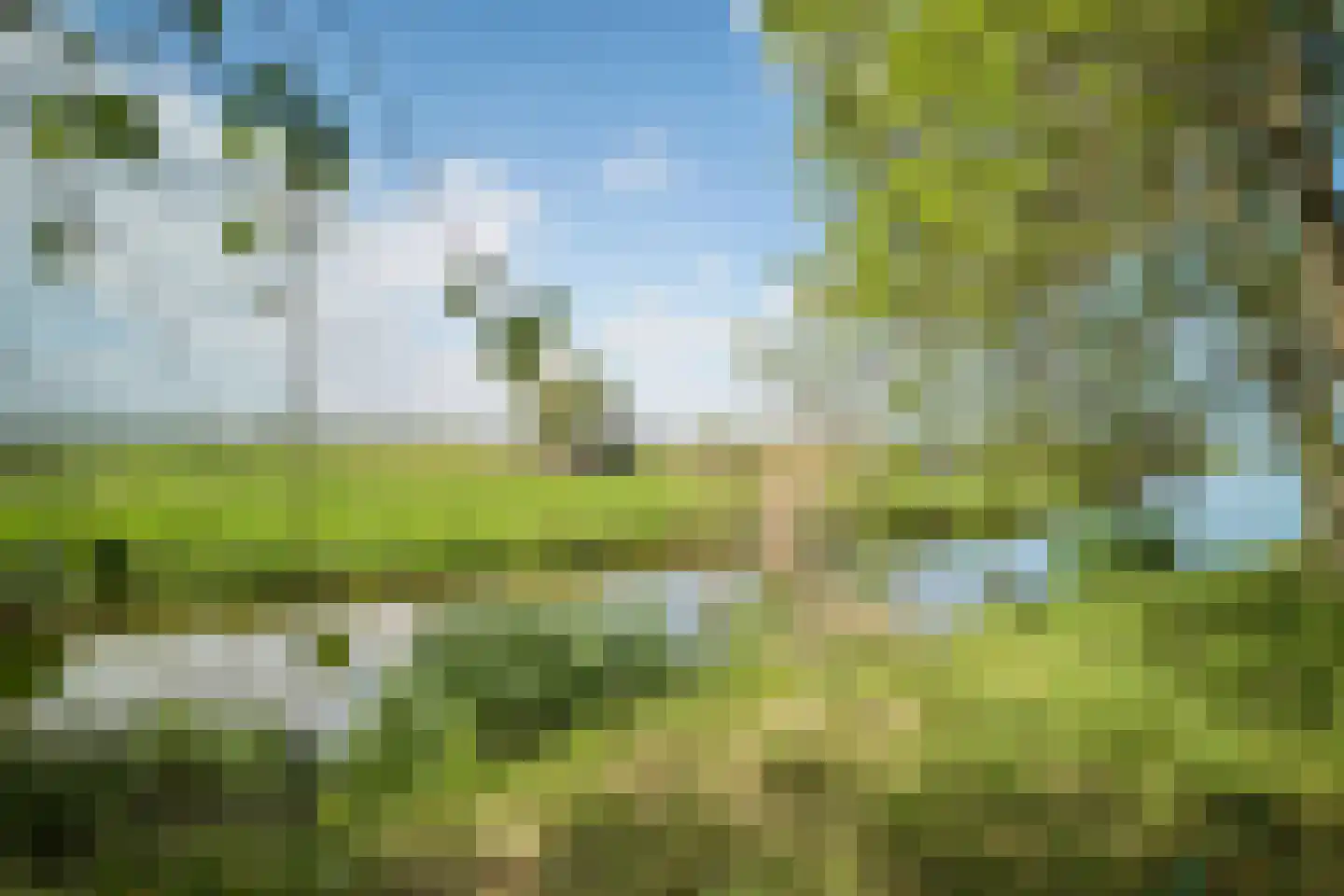 Middelie 33 Middelie thumbnail 59