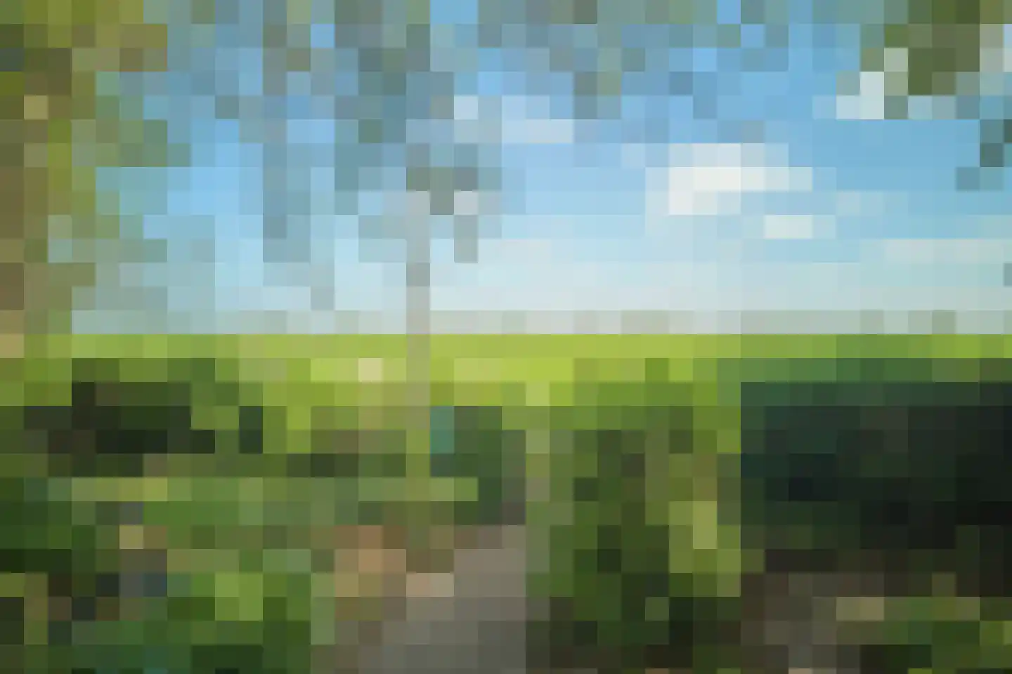 Middelie 33 Middelie thumbnail 6