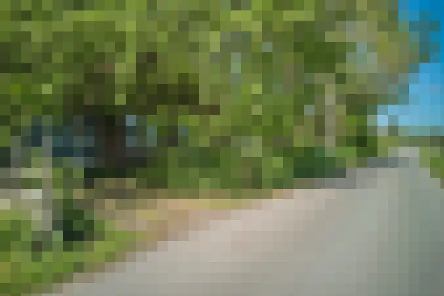 Middelie 33 Middelie thumbnail 64