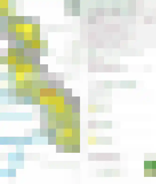 Middelie 33 Middelie thumbnail 66