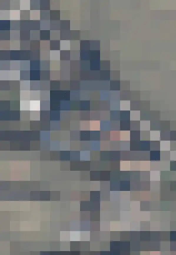 Middelie 33 Middelie thumbnail 69