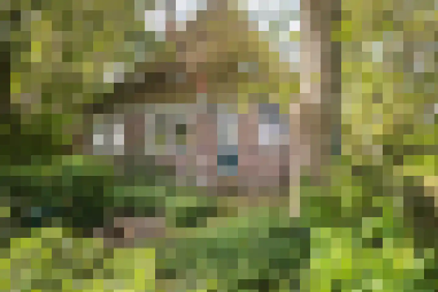Middelie 33 Middelie thumbnail 7