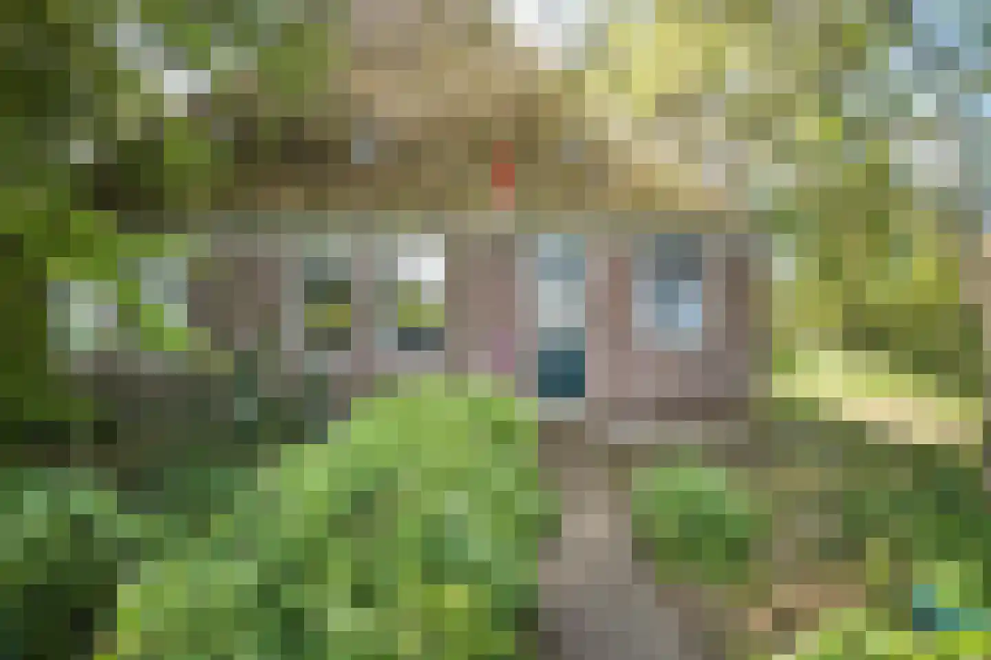Middelie 33 Middelie thumbnail 9