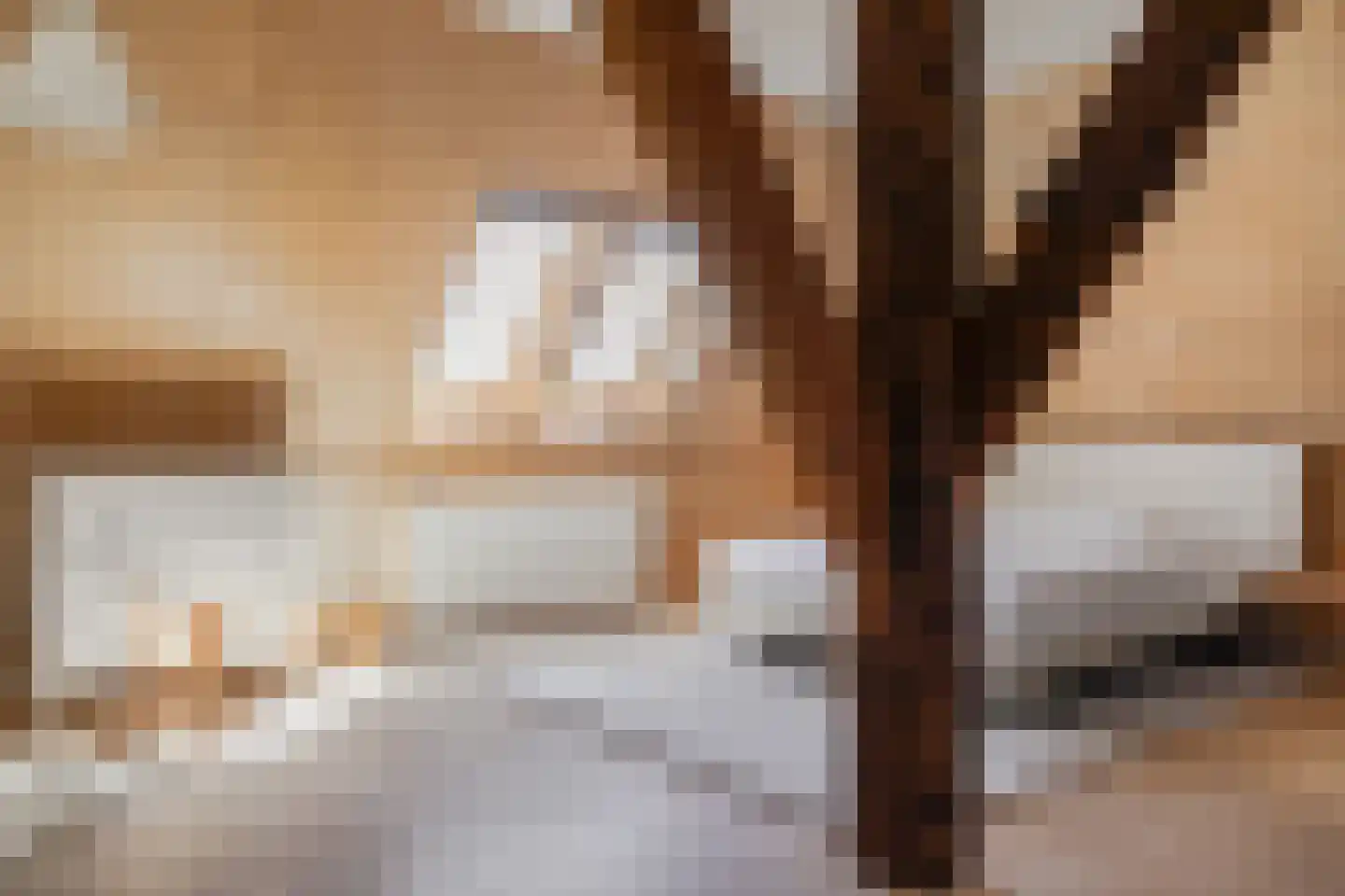 Middelie 38 Middelie thumbnail 25