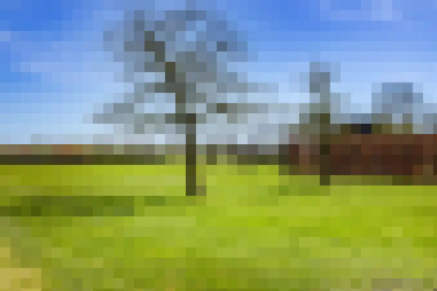 Middelie 38 Middelie thumbnail 37