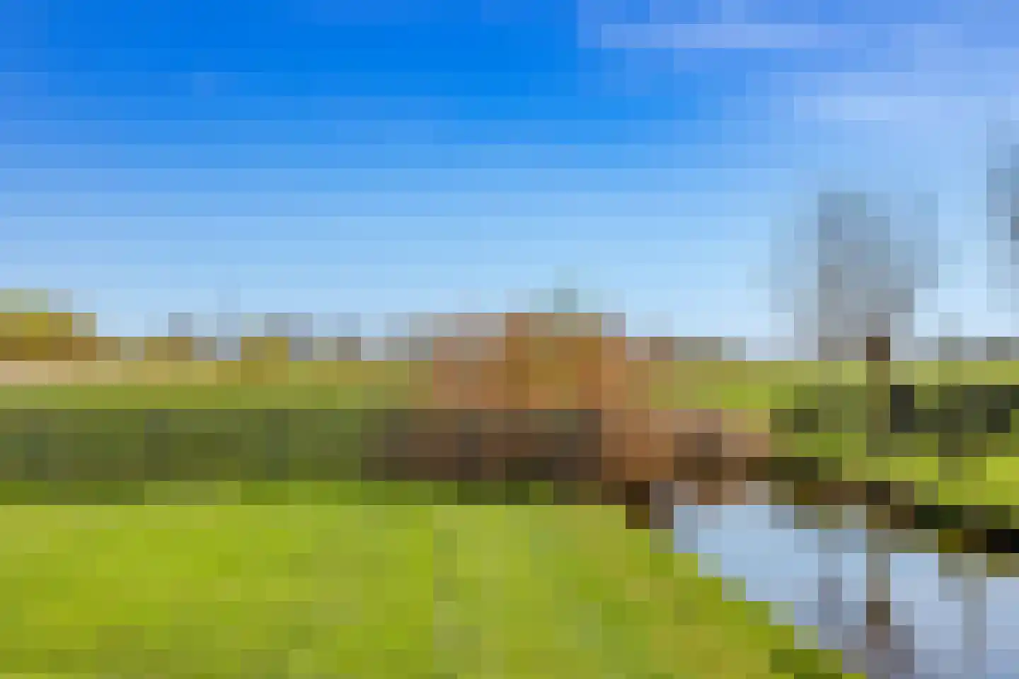 Middelie 38 Middelie thumbnail 38