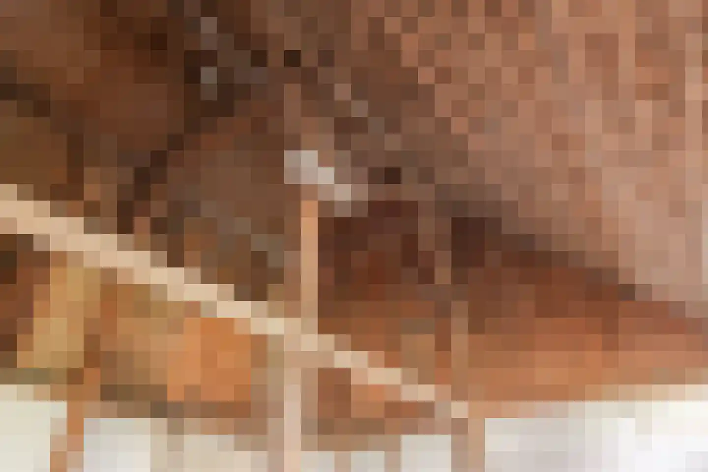 Middelie 6 Middelie thumbnail 16