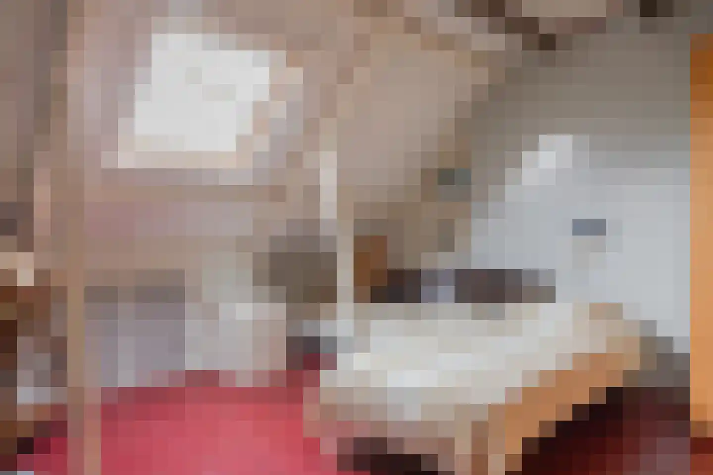 Middelie 6 Middelie thumbnail 19