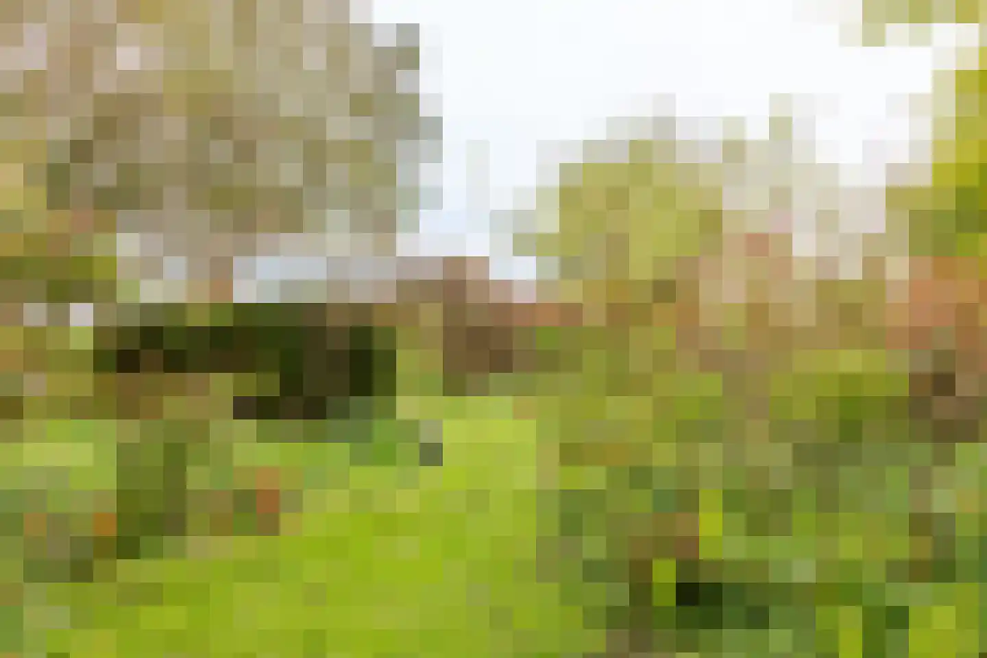 Middelie 6 Middelie thumbnail 23