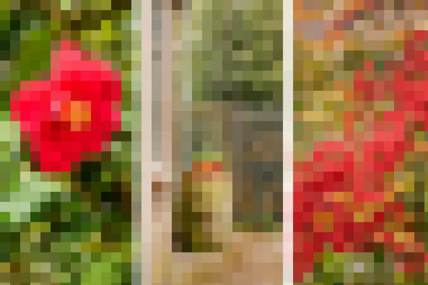 Middelie 6 Middelie thumbnail 24