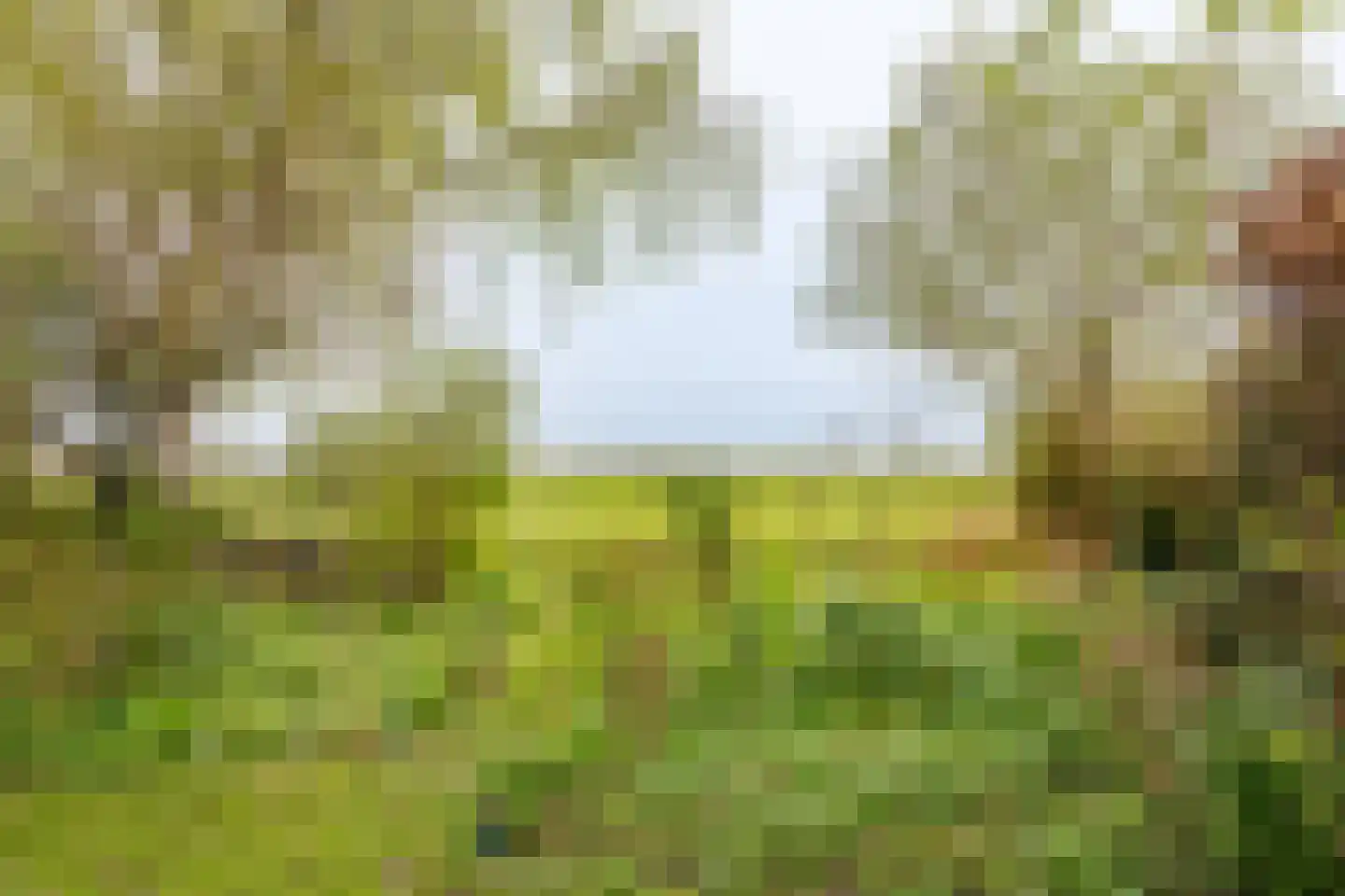 Middelie 6 Middelie thumbnail 26