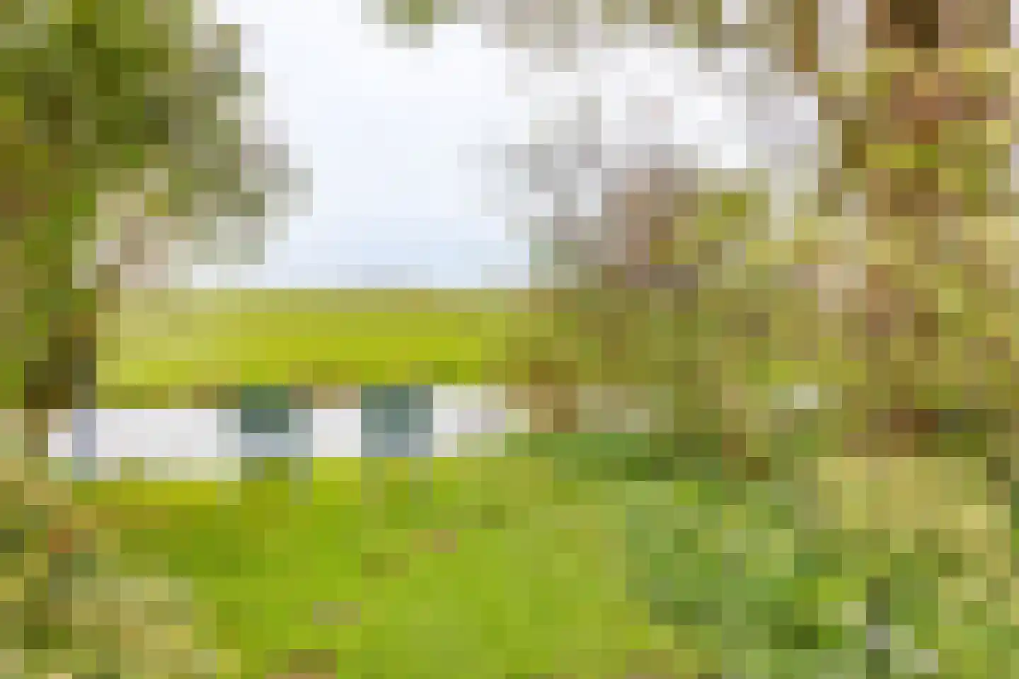 Middelie 6 Middelie thumbnail 27