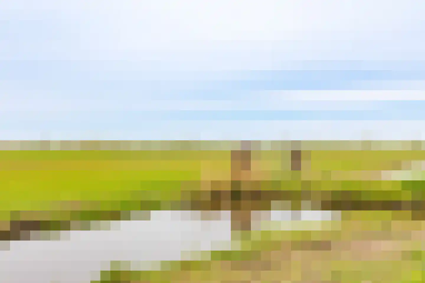 Middelie 6 Middelie thumbnail 28