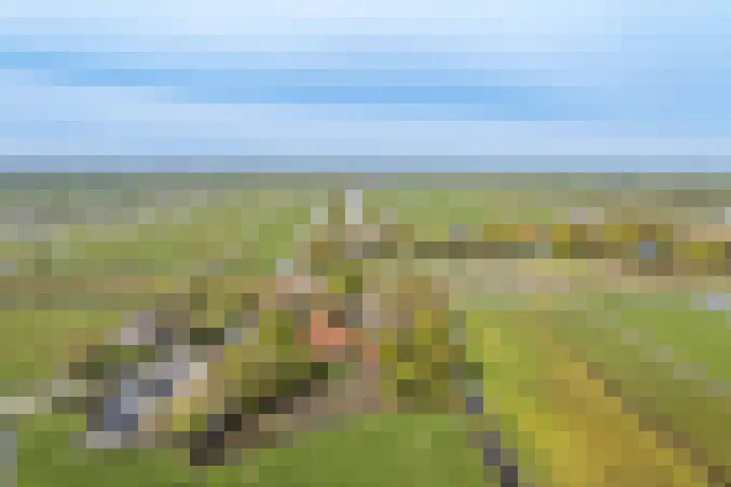 Middelie 6 Middelie thumbnail 30