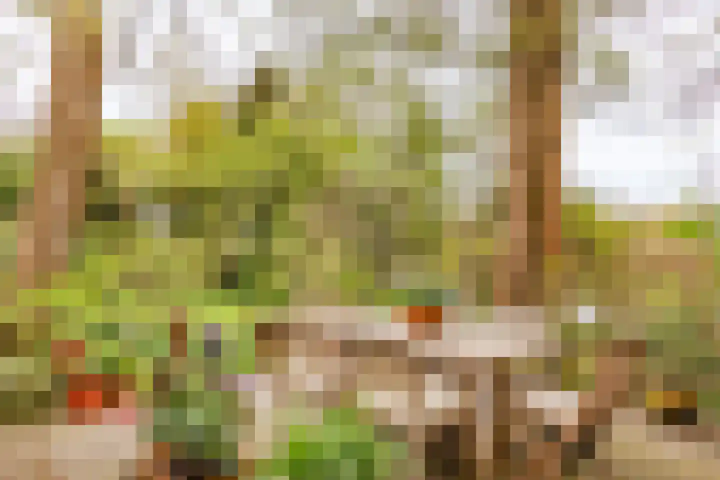 Middelie 6 Middelie thumbnail 4