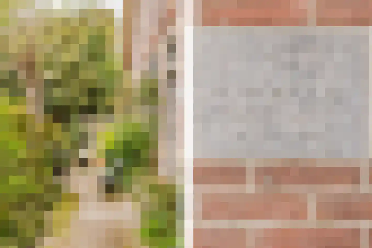 Middelie 6 Middelie thumbnail 5