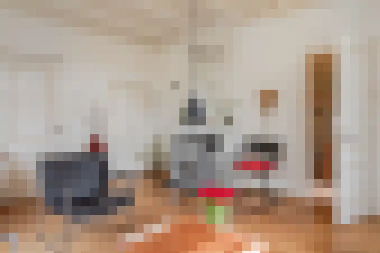 Middelie 6 Middelie thumbnail 8