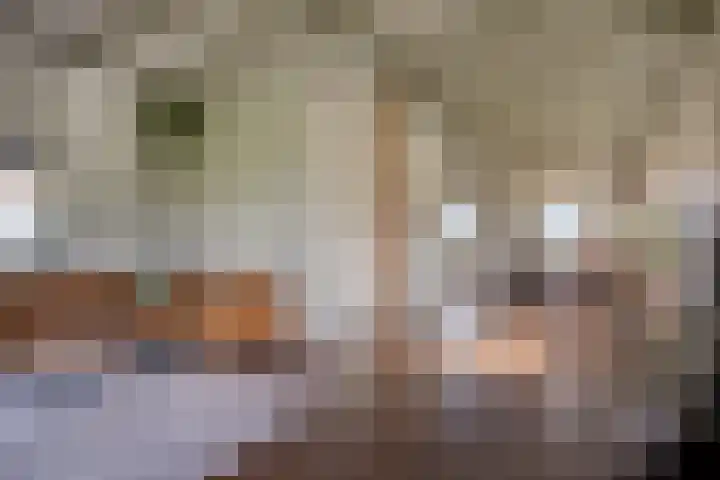 Middelie 70 Middelie thumbnail 12