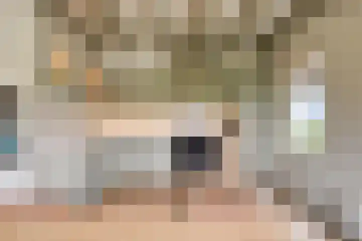 Middelie 70 Middelie thumbnail 13