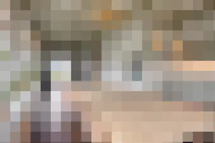 Middelie 70 Middelie thumbnail 14