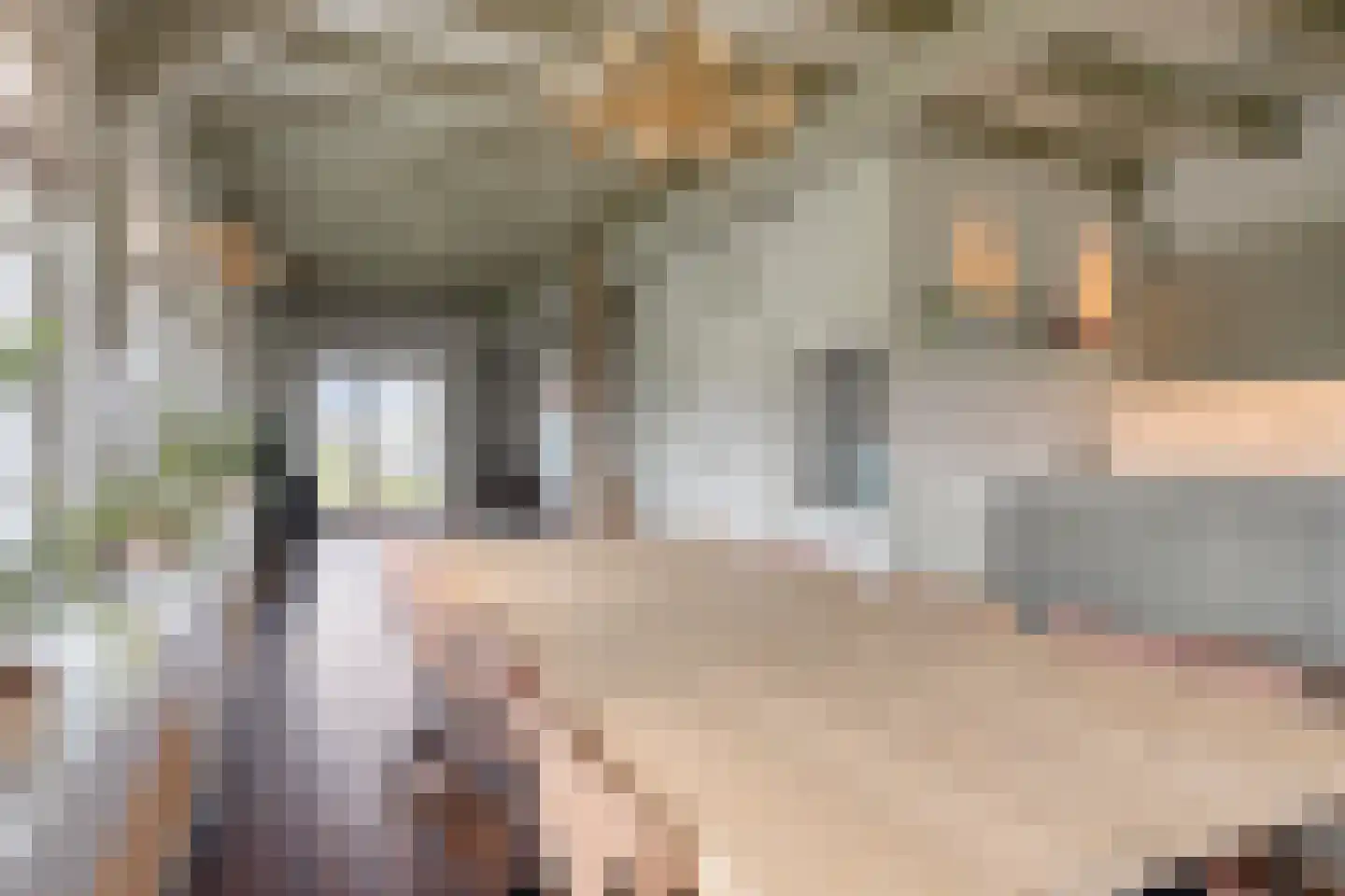 Middelie 70 Middelie thumbnail 14