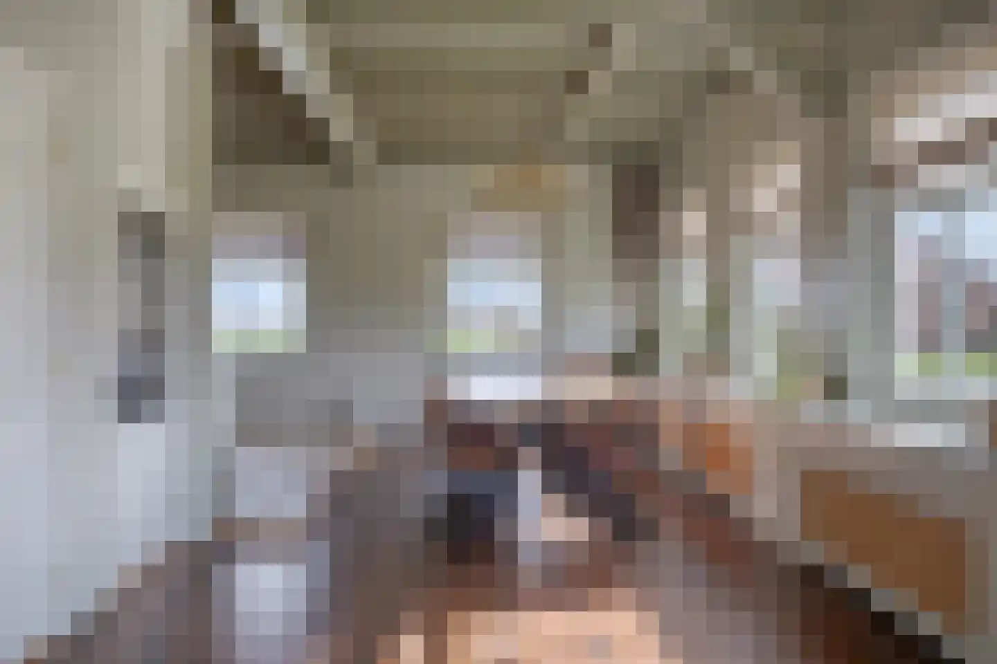 Middelie 70 Middelie thumbnail 16