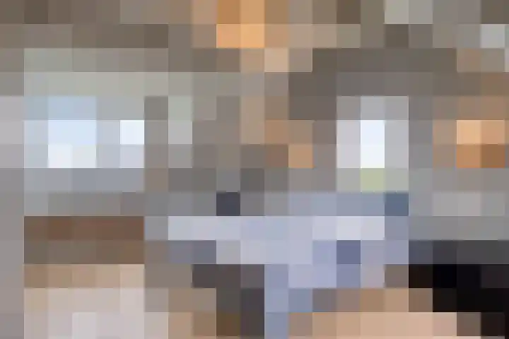 Middelie 70 Middelie thumbnail 19