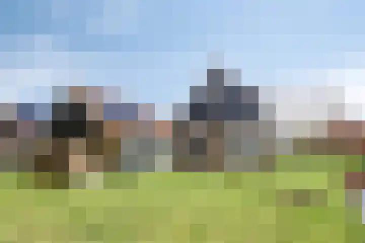 Middelie 70 Middelie thumbnail 30