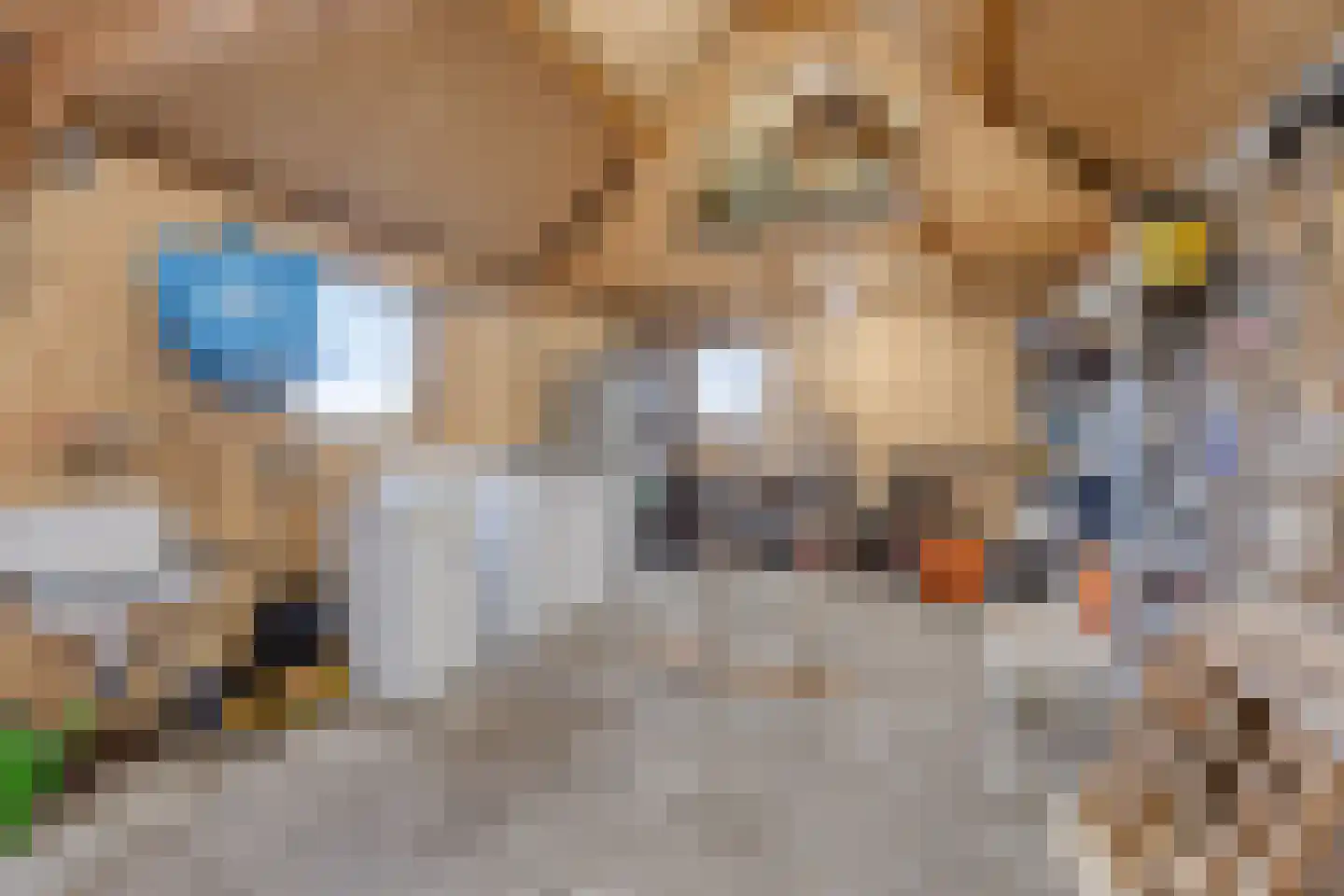 Middelie 70 Middelie thumbnail 33