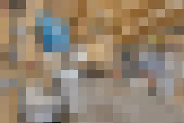 Middelie 70 Middelie thumbnail 34