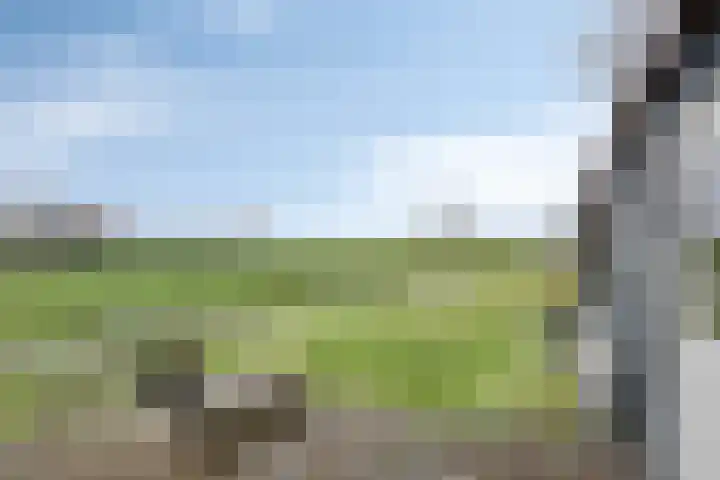 Middelie 70 Middelie thumbnail 37