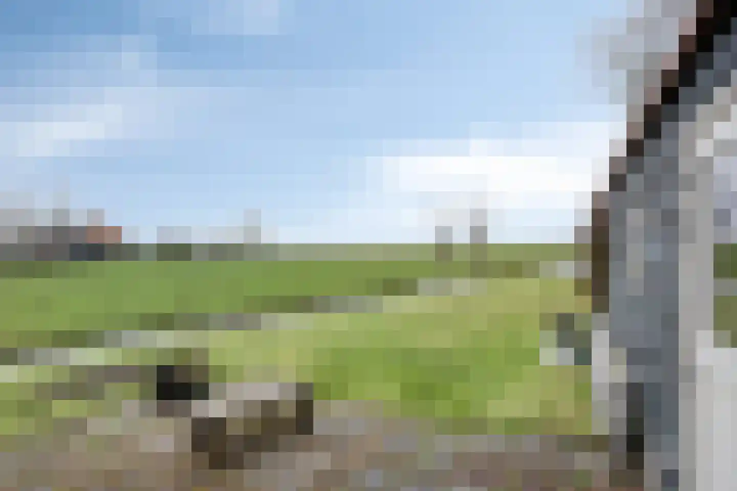 Middelie 70 Middelie thumbnail 37