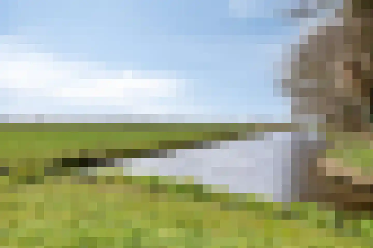 Middelie 70 Middelie thumbnail 38