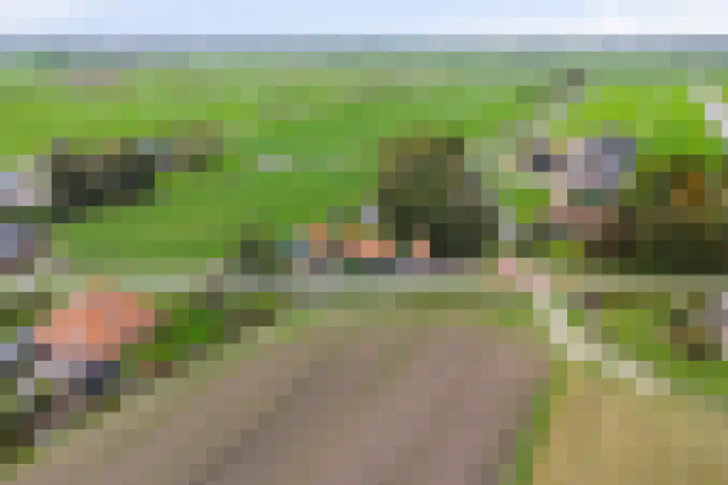 Middelie 70 Middelie thumbnail 39