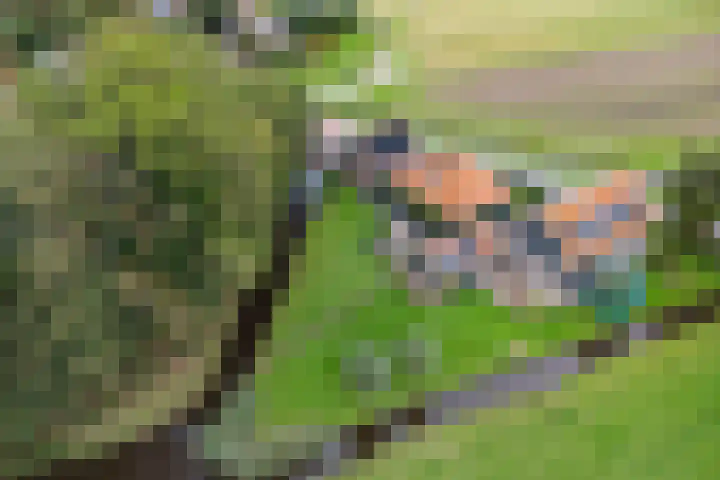 Middelie 70 Middelie thumbnail 40