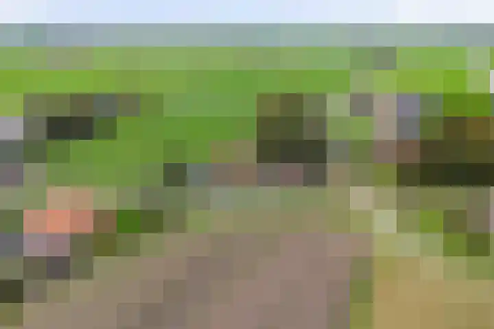 Middelie 70 Middelie thumbnail 42