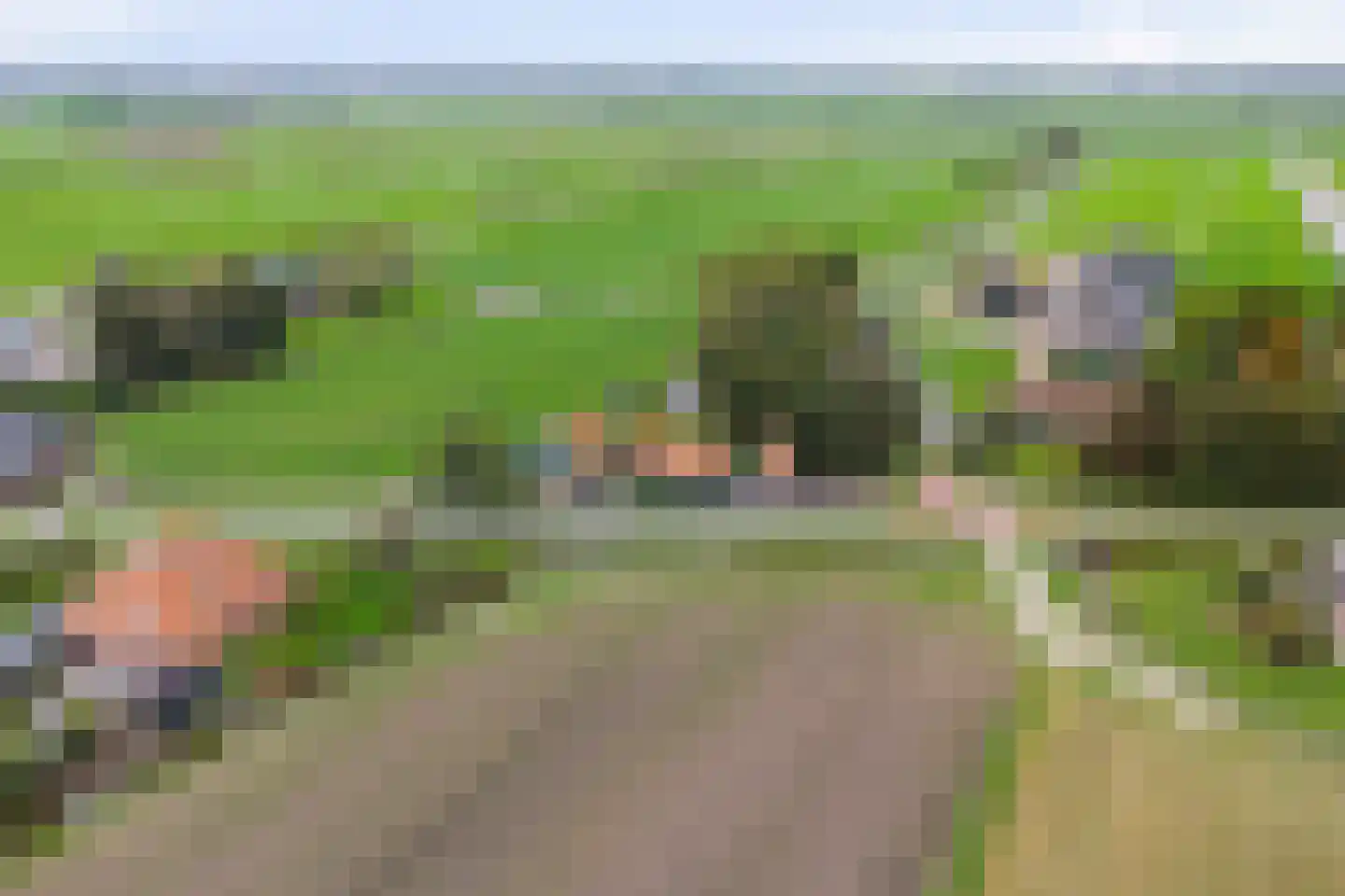 Middelie 70 Middelie thumbnail 42